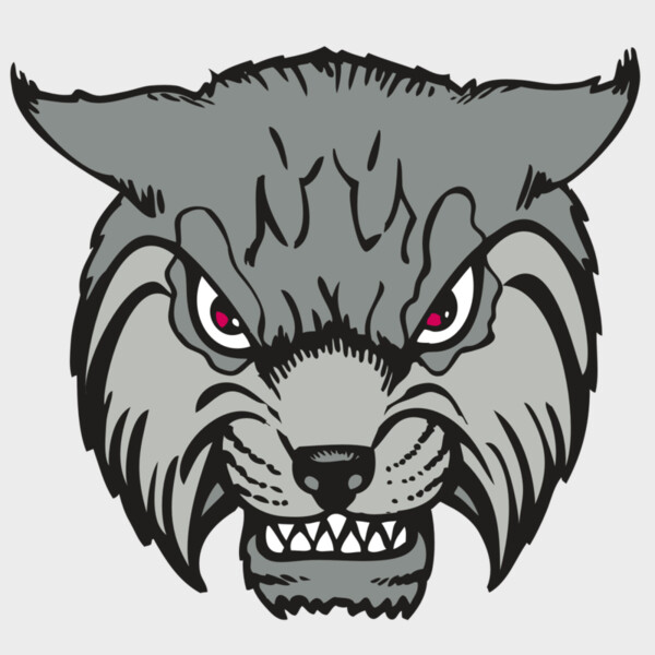 BAW BOBCAT 02 RC Thumbnail