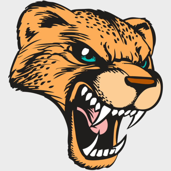 BAW CHEETAH 19 RC Thumbnail