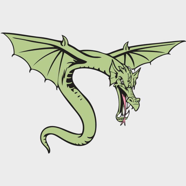 BAW DRAGON 08 RC Thumbnail