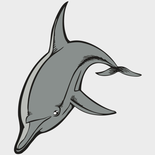 BAW DOLPHIN 03 RC Thumbnail