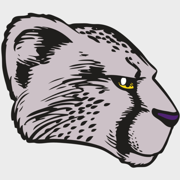 BAW CHEETAH 20 RC Thumbnail