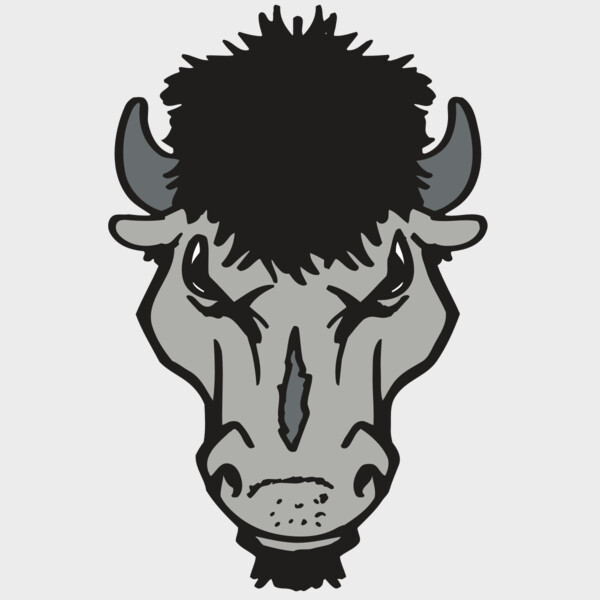 AR BUFFALO 15 RC Thumbnail