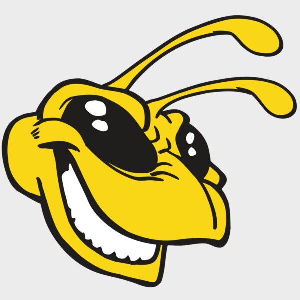 AR5 BEE 24 RQC Thumbnail