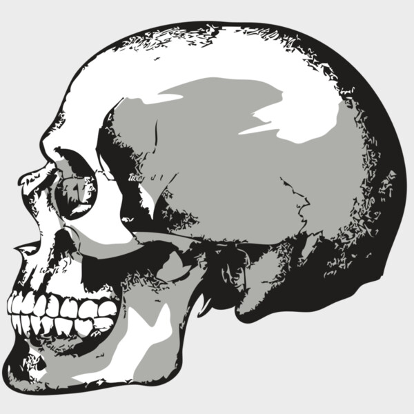 AR24 SKULL 02 RQC Thumbnail