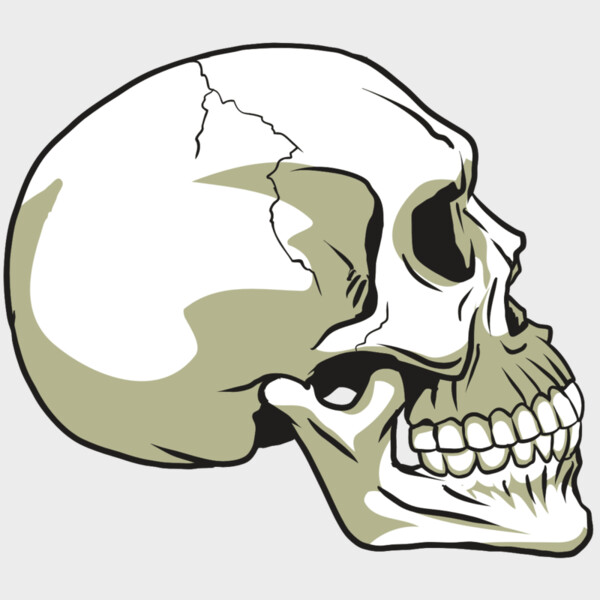 AR24 SKULL 12 RQC Thumbnail
