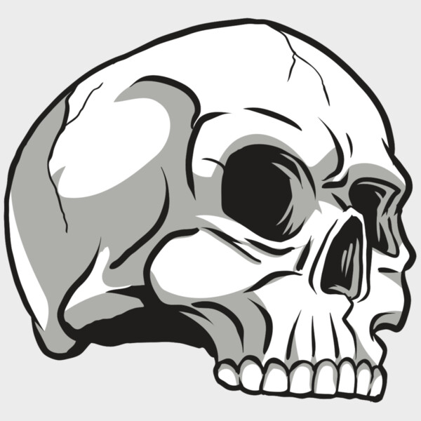 AR24 SKULL 10 RQC Thumbnail