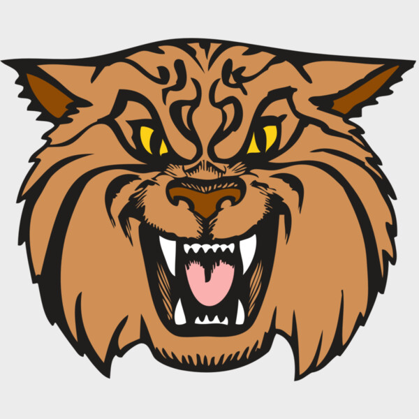 BAW WILDCAT 04 RC Thumbnail