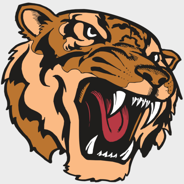 BAW TIGER 07 RC Thumbnail