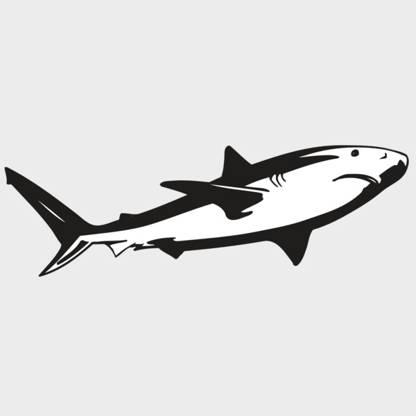 AR5 Shark 15 RQC Thumbnail
