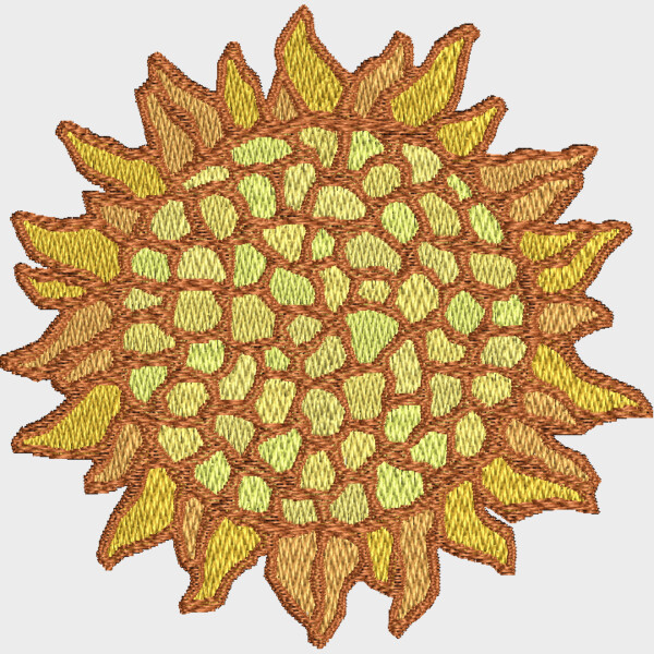 NZ634 Thumbnail