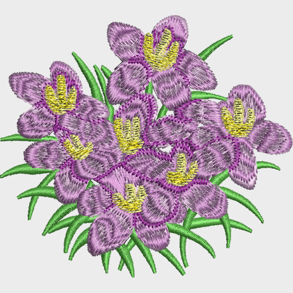 FP310 Thumbnail