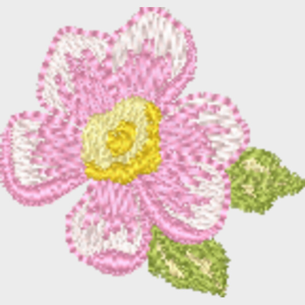 330600 Thumbnail