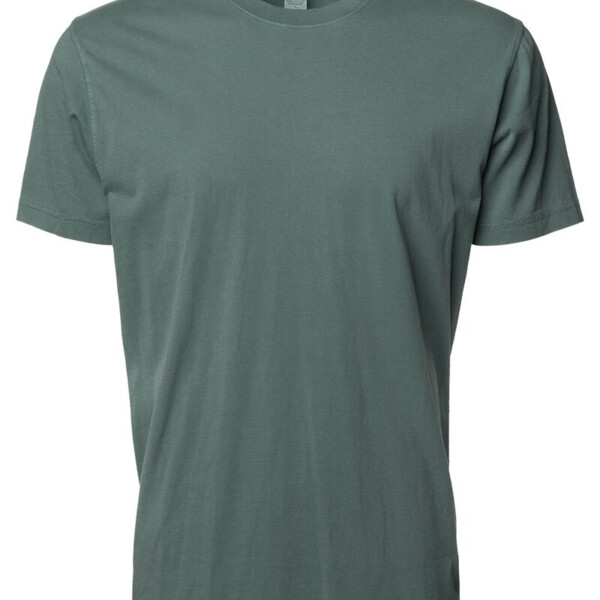 Unisex Premium T-Shirt Thumbnail