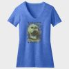 Women's Perfect Blend ® CVC V Neck Tee Thumbnail