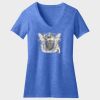 Women's Perfect Blend ® CVC V Neck Tee Thumbnail